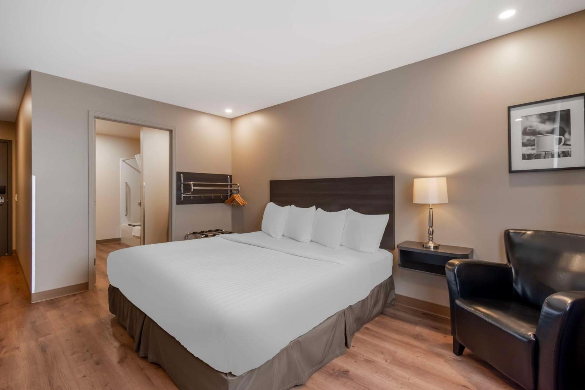 Hotel & - Surestay Collection By Western Hearst