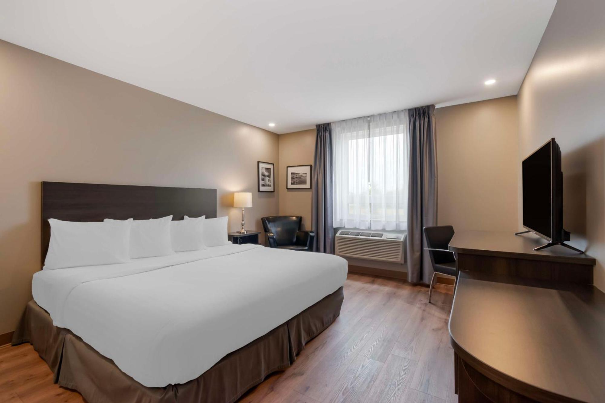 Hotel & - Surestay Collection By Western 3*